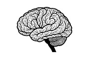 Brain Tree Knowledge Design Bundle, an Illustration by Gaye Art (Thumbnail 30 of 31)
