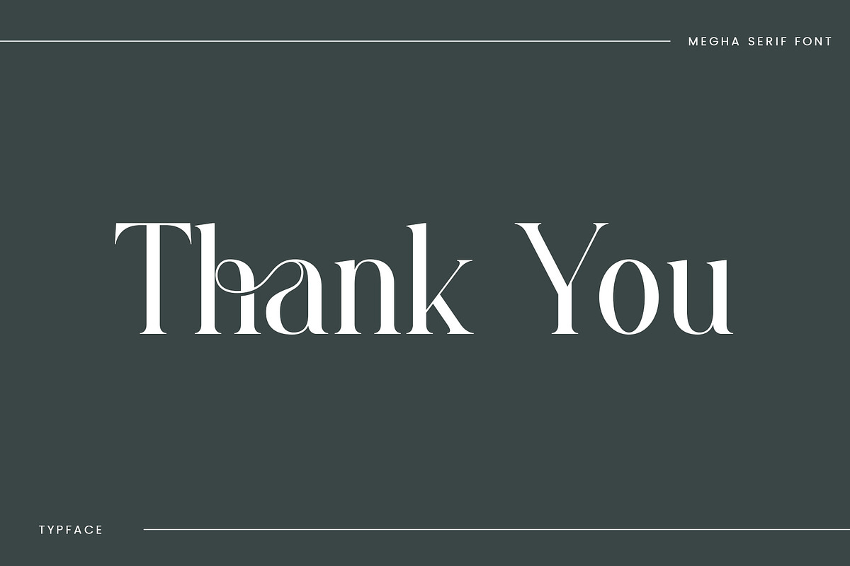 Megha - Elegant Serif Font, a Serif Font by Aqeel_Art (Photo 12 of 12)