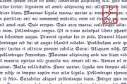 1484 Bastarde Loudeac (V2), a Blackletter Font by GLC Foundry (Thumbnail 2 of 3)