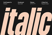 Godger – Condensed Sans Serif, a Sans Serif Font by Craft Supply Co. (Thumbnail 4 of 8)