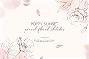 POPPY SUNSET pencil floral sketches, a Decorative Illustration by Yuliia Lashevska (Thumbnail 1 of 10)