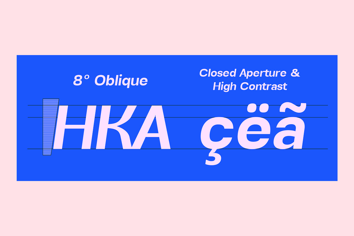 Alvara Sans High Contrast Family, a Sans Serif Font by Lettertype Studio (Photo 3 of 15)