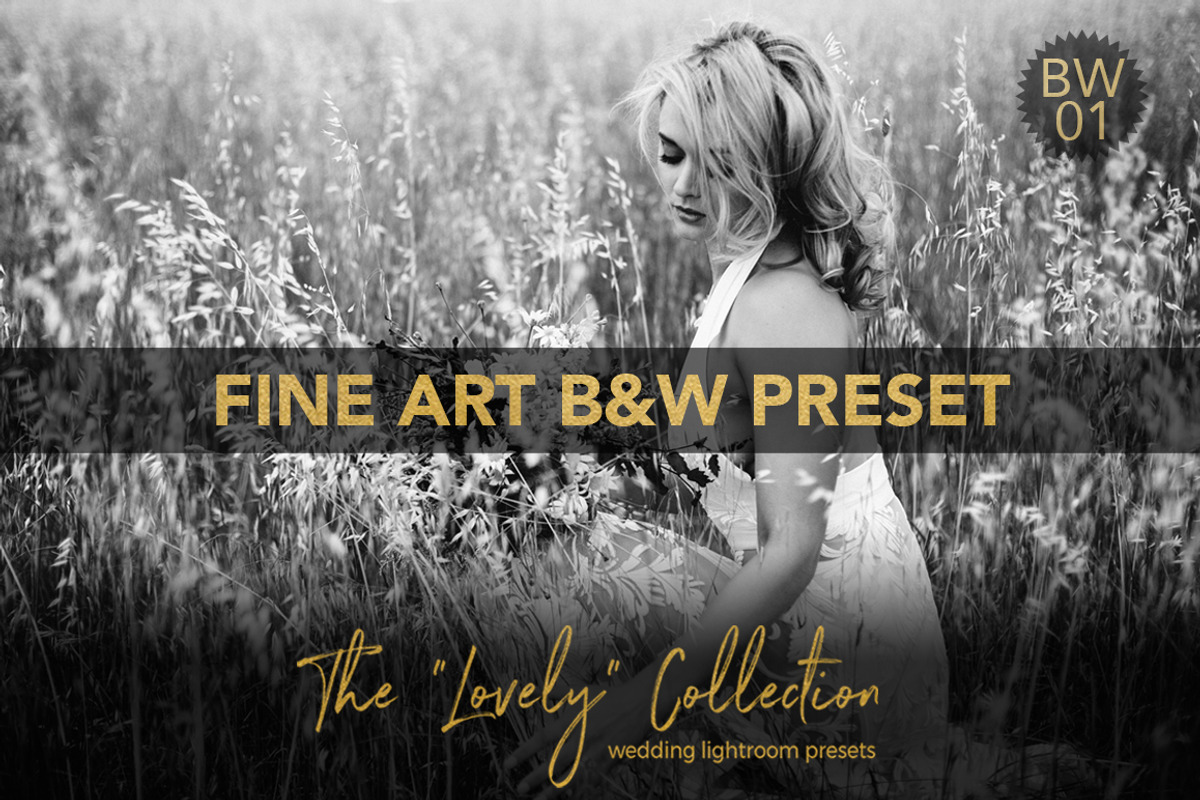 Fine Art B&W ACR + LightroomPreset, an Action Add-On by Shae Estella Photo (Photo 1 of 6)