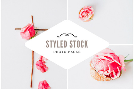 Pack 3 i styled stock stock photo containing minimalist and succulents, a Business Photo by SophieStockBoutique