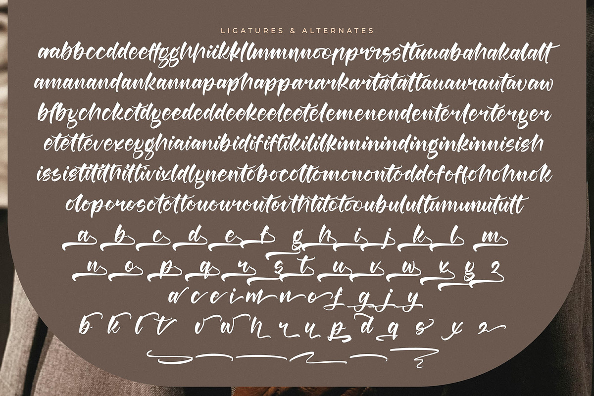 Berlin Travels Bold Calligraphy Font, a Script Font by stylishtype.co (Photo 19 of 20)