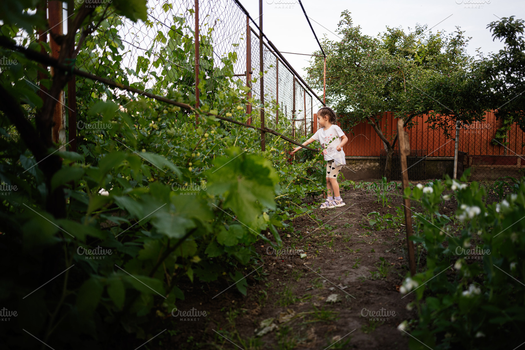 Little girl exploring a lush garden surrounded by trees and greenery, a Person Photo by AS photostudio