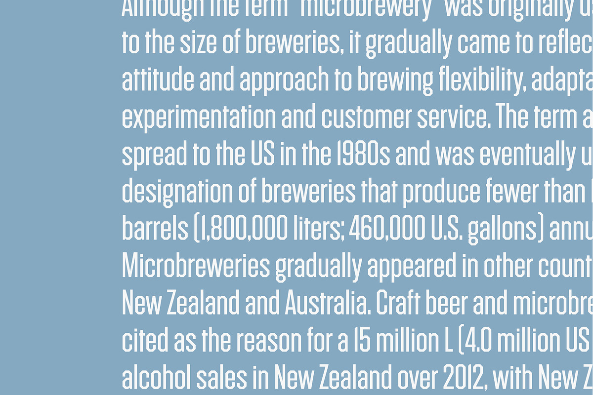 Brewton — Vintage Sans Display Font, a Sans Serif Font by Inlay Studio (Photo 8 of 8)