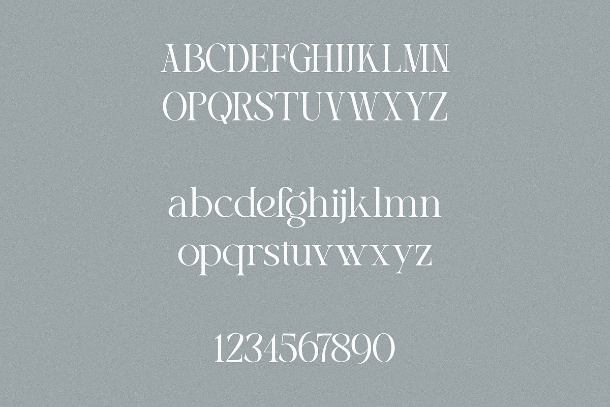 Bluewave - Modern Serif, a Serif Font by Mikhail Fukurou (Photo 10 of 11)