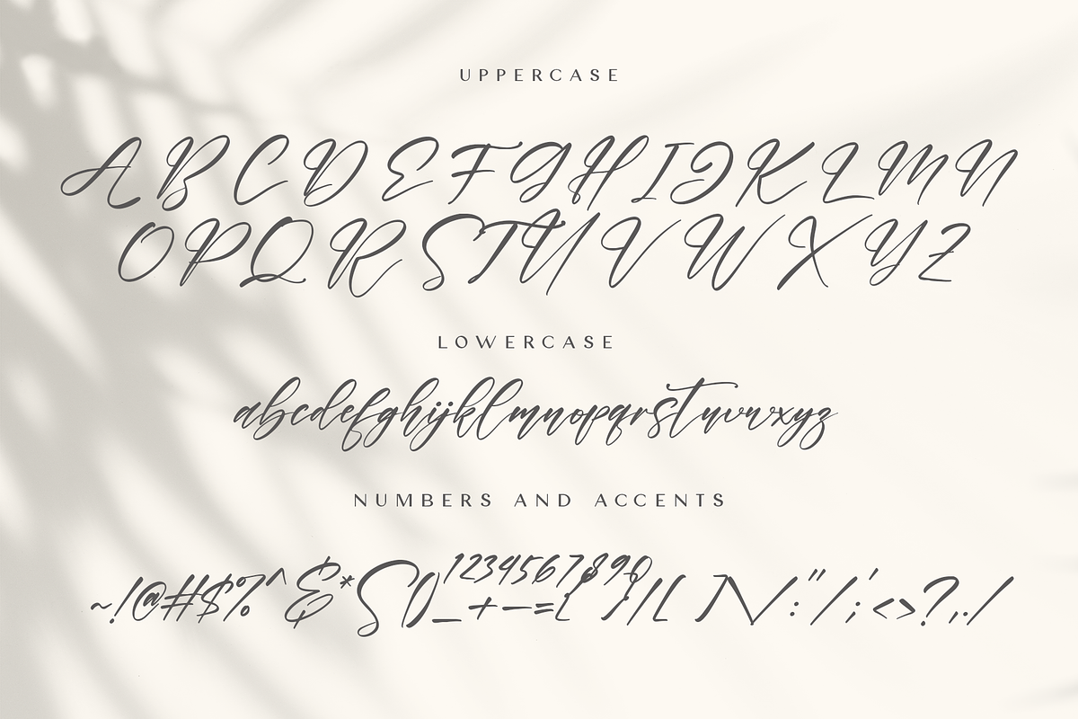 Liformase preview 7