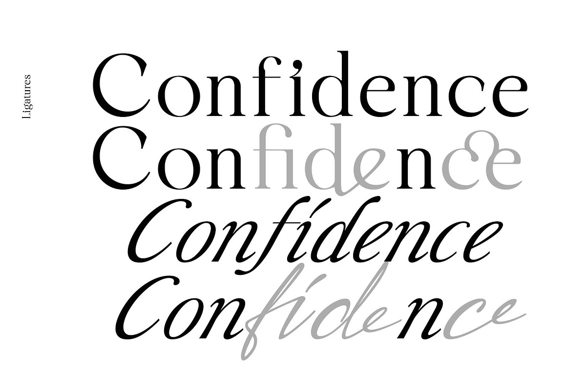 Liliane Classe Serif Font Family, a Serif Font by Ryul Davidson (Photo 12 of 21)