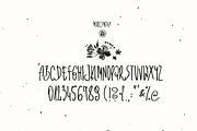 Moricandia Font, a Script Font by Webvilla Studio (Thumbnail 6 of 6)