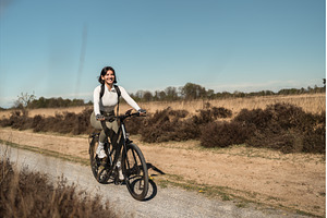Woman biking across sun-drenched, a Holiday Photo by AD Stock Images