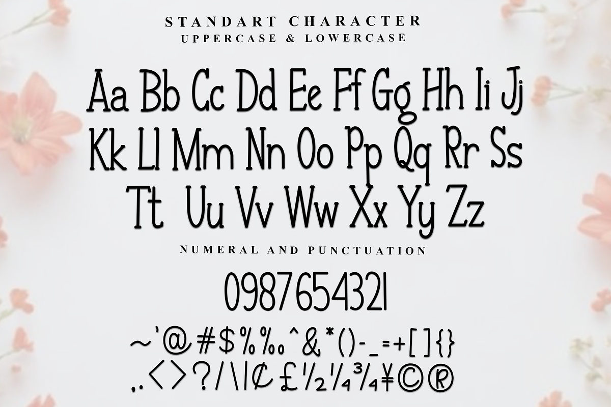 Signature Collection, a Sans Serif Font by InermediaSTUDIO (Photo 2 of 8)