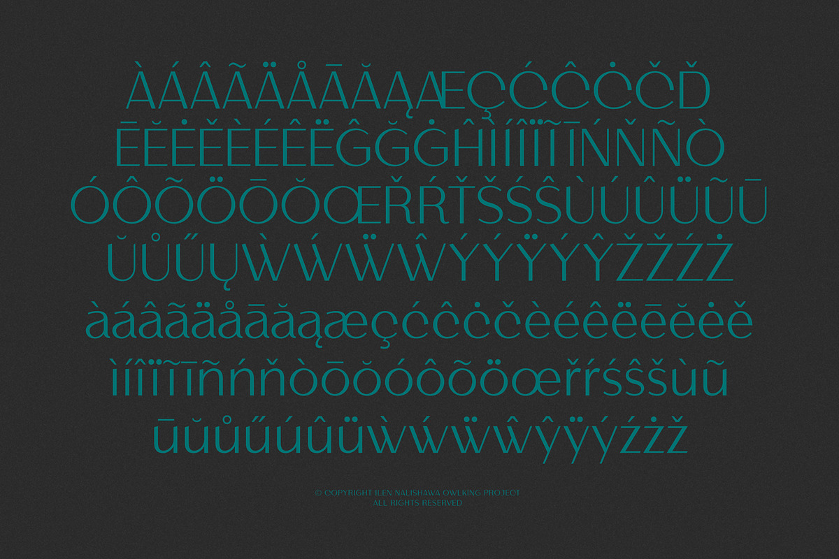 Helnore, a Sans Serif Font by OWL KING (Photo 4 of 8)