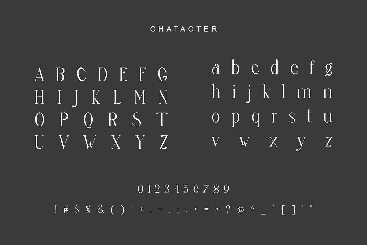 sagur unique ligature serif typeface, a Serif Font by yaqublekker (Photo 8 of 9)