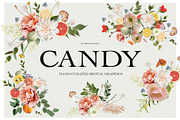 Candy Rustic Floral Clipart Set, an Object Illustration by anastasiia.art (Thumbnail 4 of 10)