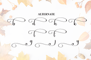 Thanksgiving | Script Font, a Handwritten Font by Scratchones (Thumbnail 8 of 9)