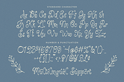 Fortune Harvest - Whimsical Font, a Handwritten Font by Lalalope (Thumbnail 9 of 9)