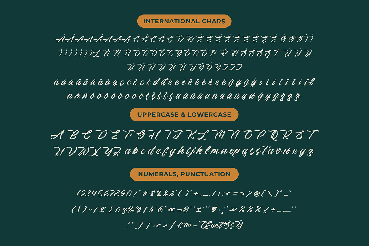 Rustical Banley Modern Script Font, a Script Font by Letterena Studios Script (Photo 18 of 20)