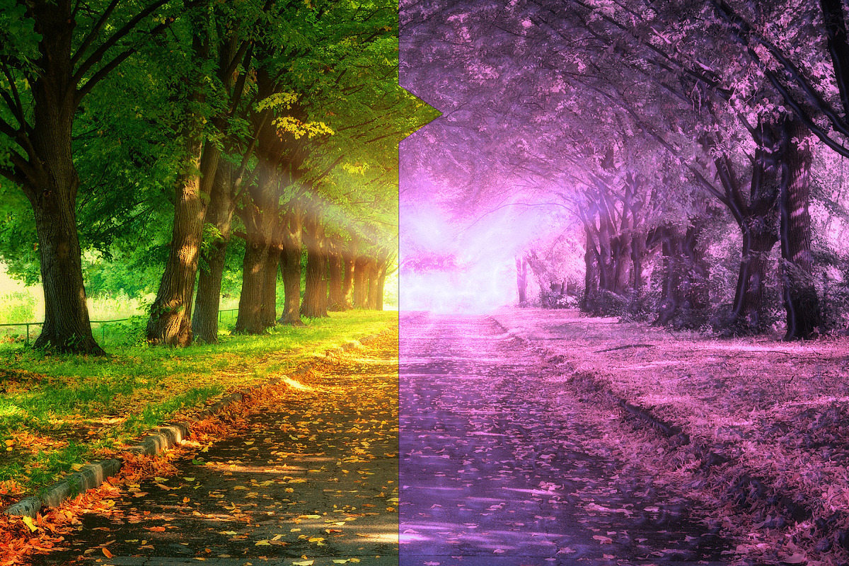 20 Styled Effects - Photoshop Action, an Action Add-On by Lightdesigns (Photo 8 of 8)