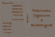 Gustafsson, a Serif Font by Portion.Labs (Thumbnail 11 of 11)