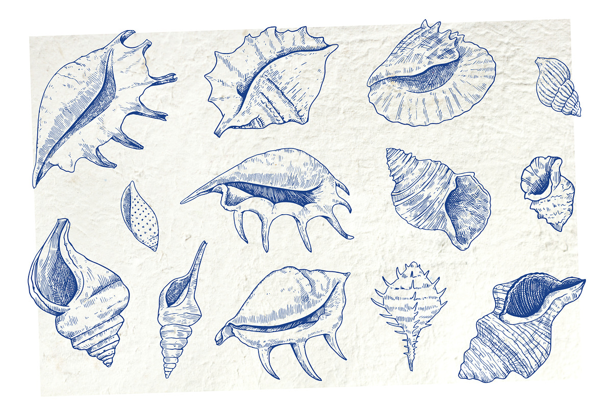 Coral gardens. Patterns collection, a Pattern Graphic by Robusta (Photo 16 of 16)