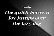 Astelin, a Serif Font by zaaintype (Thumbnail 10 of 15)