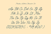 Meadow Anthem, a Handwritten Font by Nathatype (Thumbnail 8 of 11)