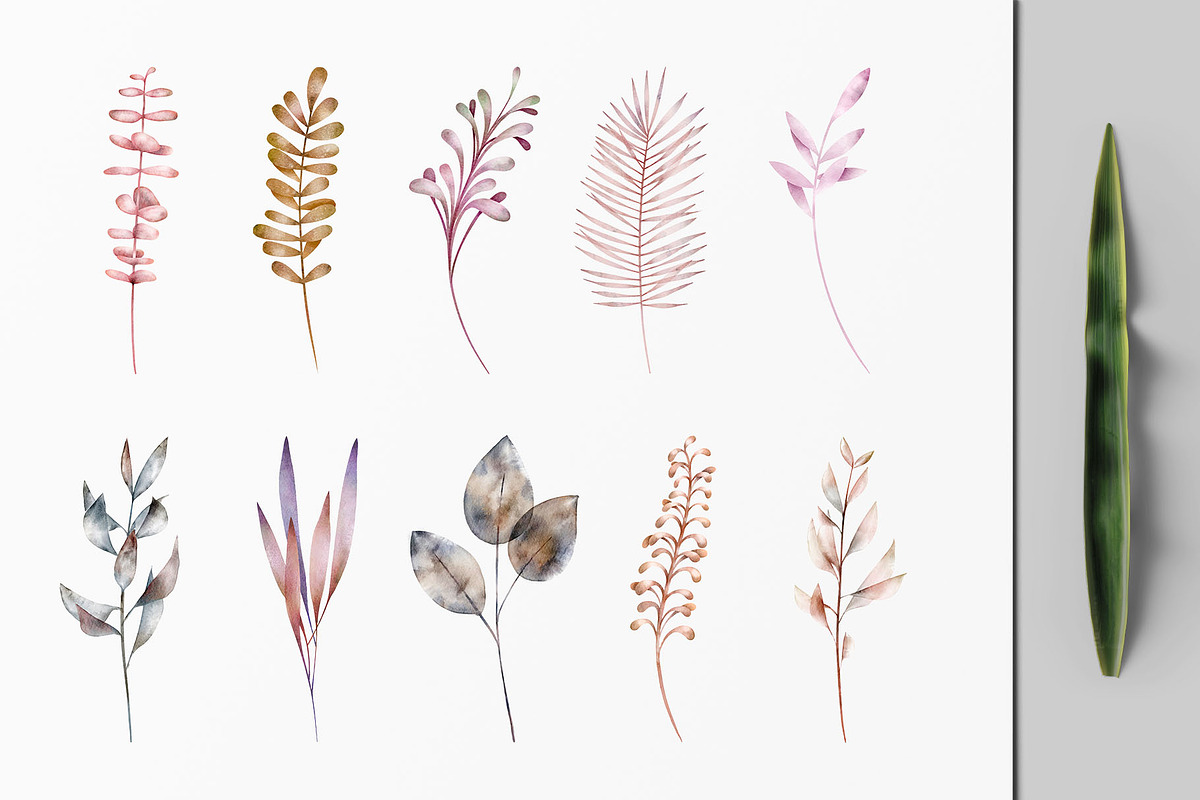Twigs and Leaves, an Illustration by Michael Rayback Design (Photo 3 of 9)
