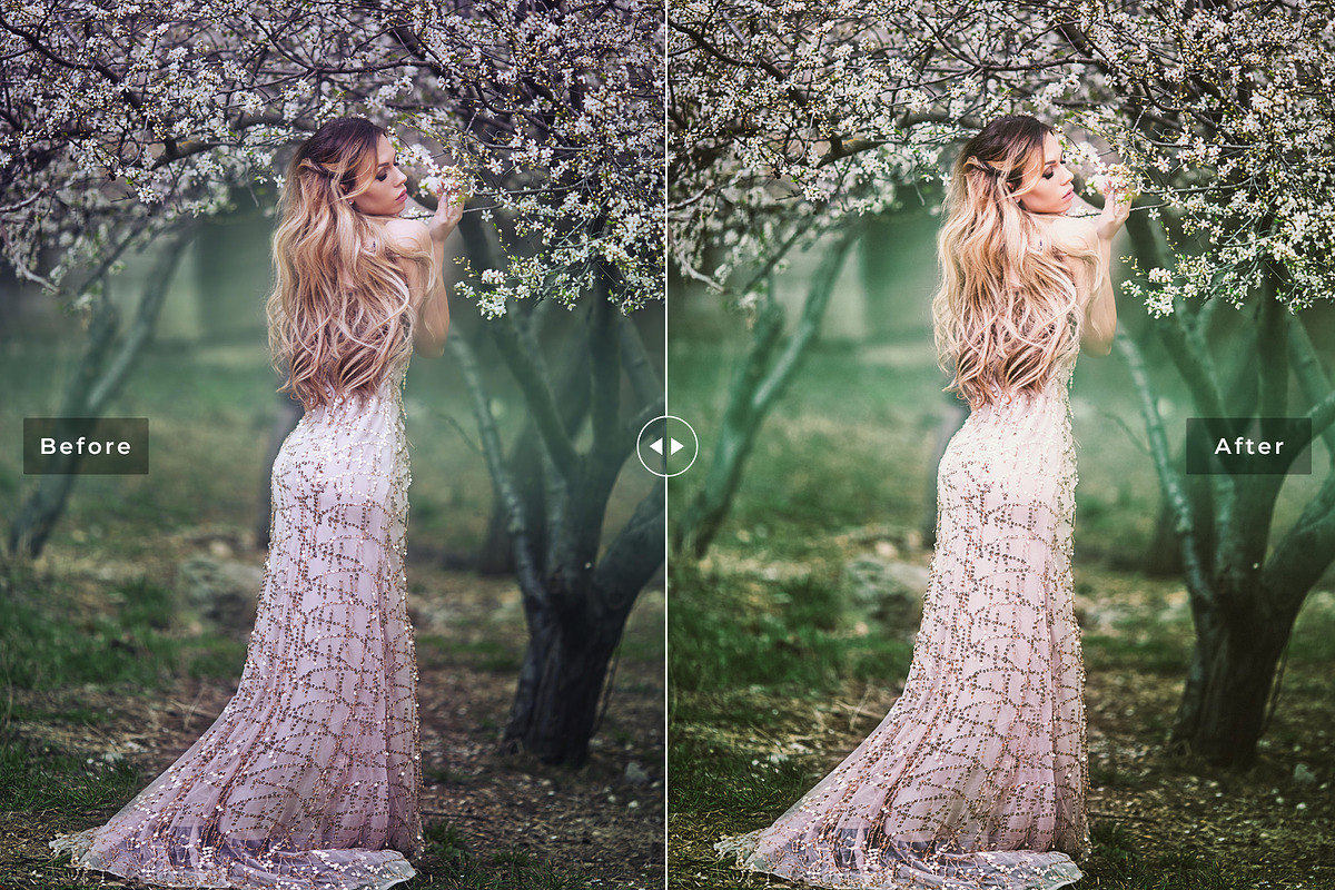 Fine Art Lightroom Presets preview 4