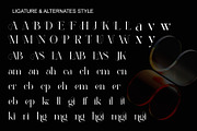 Magillo Elegant Ligature Serif, a Serif Font by Alfinart (Thumbnail 9 of 10)