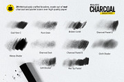 Realistic Charcoal 2 for Procreate, a Brush Add-On by Frankentoon Store (Thumbnail 3 of 6)