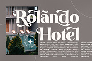 California Paradise Modern Serif, a Serif Font by Storytype Studio (Thumbnail 4 of 15)