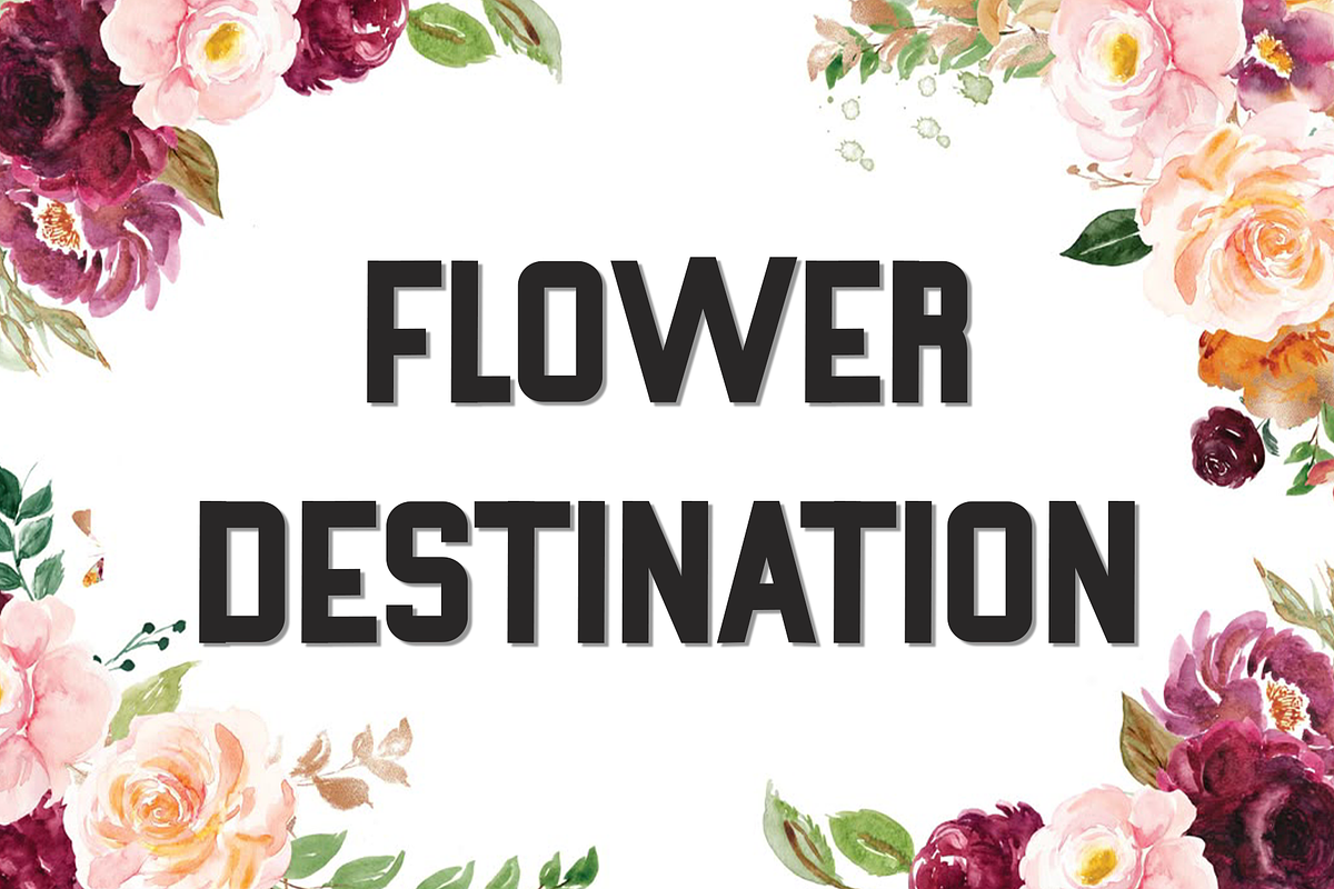 Nature, a Script Font by InermediaSTUDIO (Photo 4 of 8)