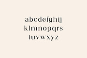 Apostrophic Beauty Serif Font, a Serif Font by UICreative (Thumbnail 7 of 12)