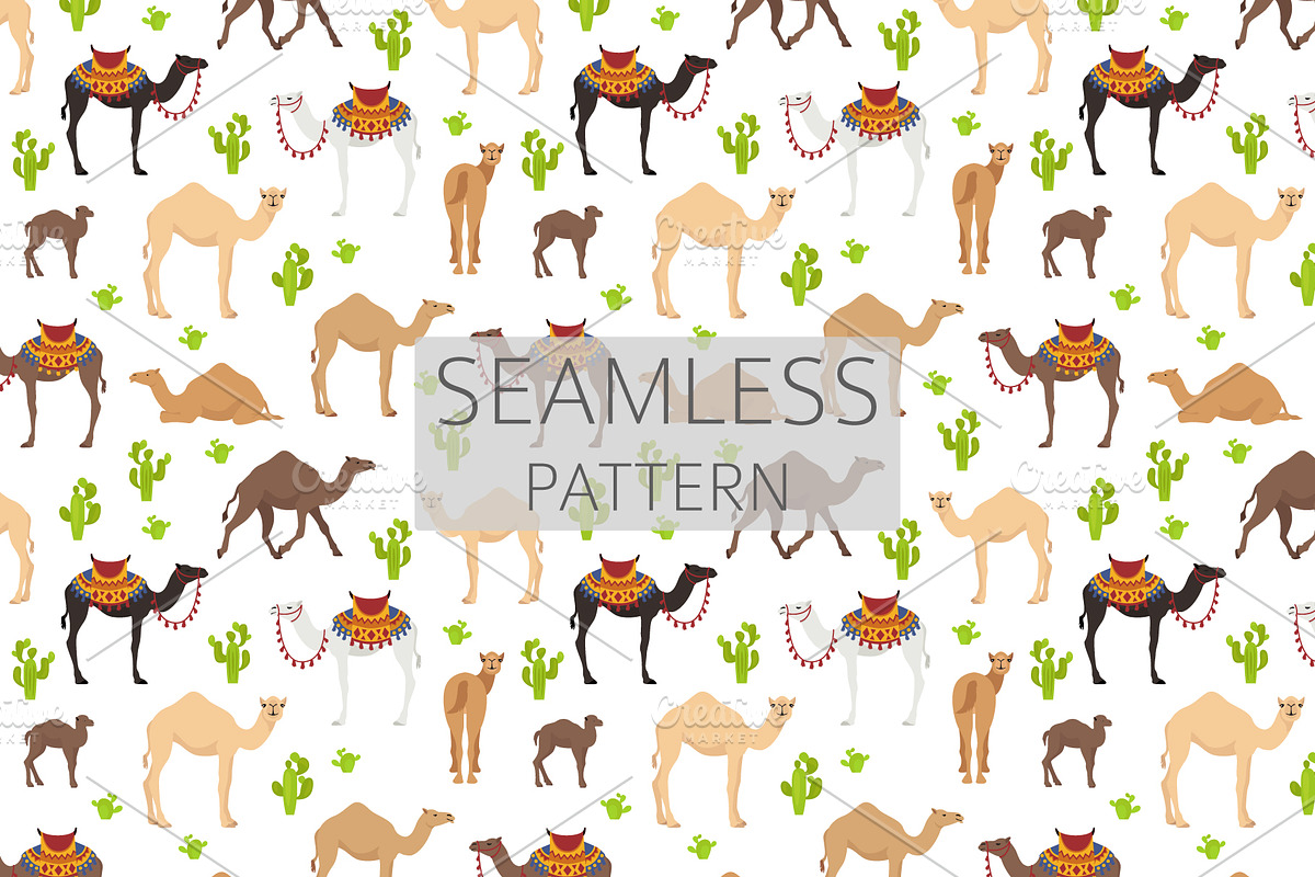 Arabian camel Dromedary clip art, an Animal Illustration by pet design shop (Photo 5 of 5)