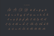 Bonita Melodia Script, a Script Font by Andrey Sharonov (Thumbnail 12 of 13)