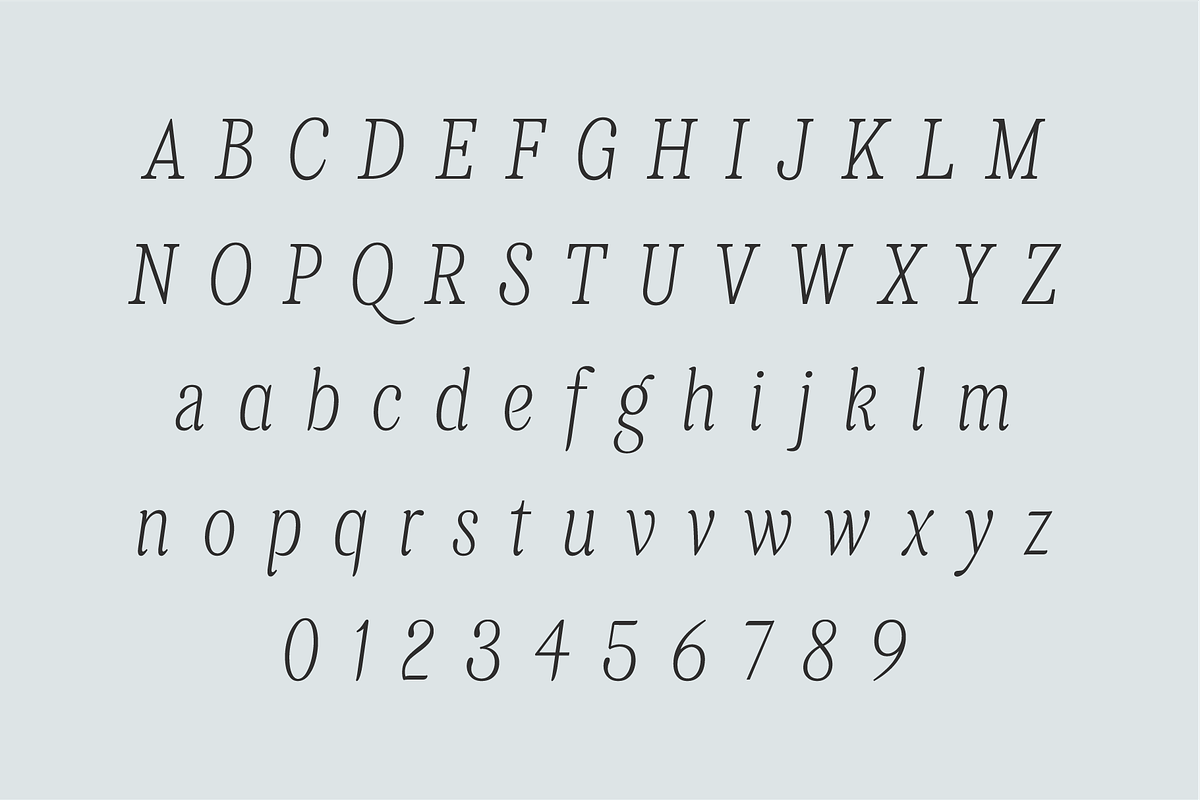 Levino Font Family, a Font by Punch (Photo 3 of 10)