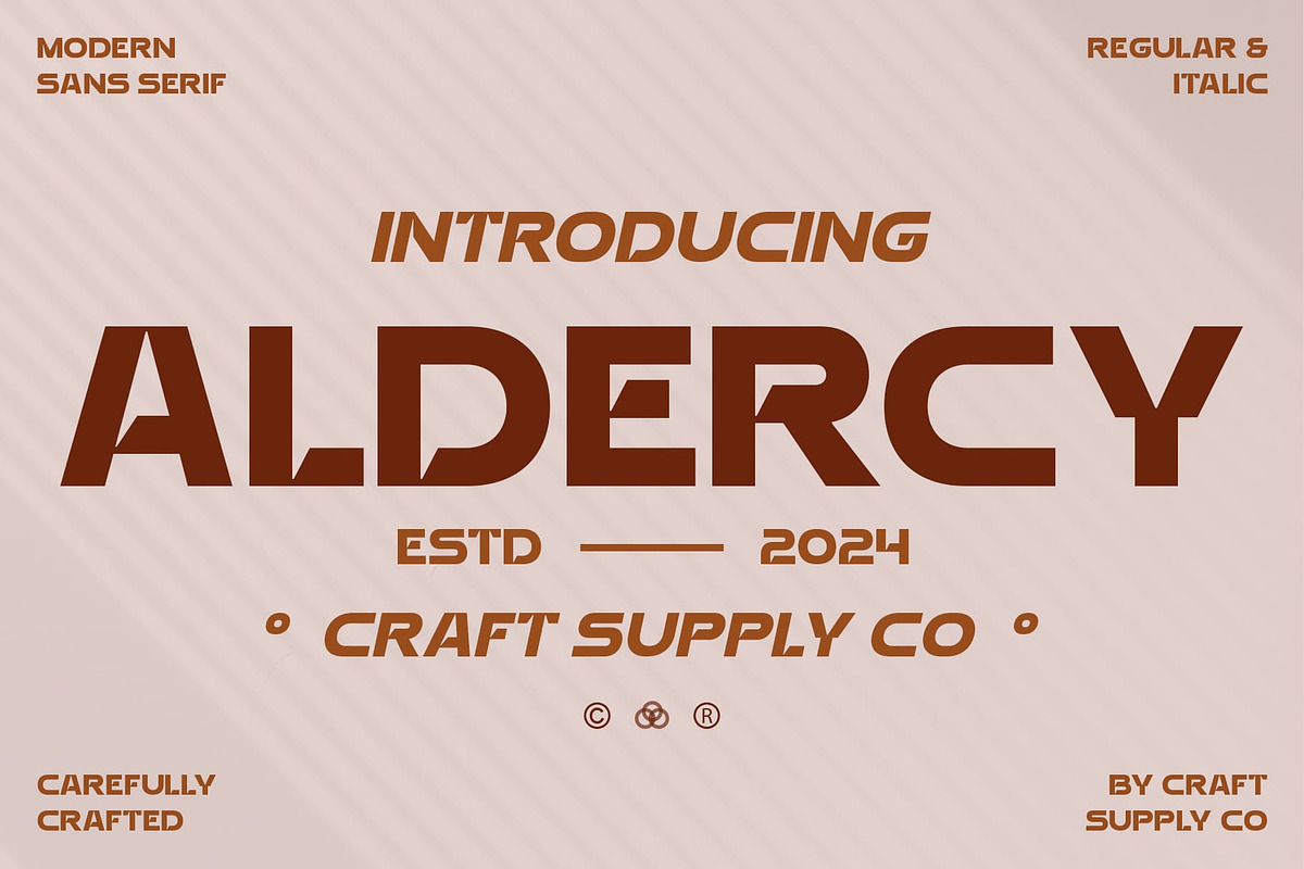Aldercy, a Sans Serif Font by Craft Supply Co. (Photo 1 of 8)