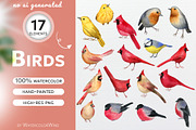 Birds Watercolor Clipart, an Animal Illustration by WatercolorWind (Thumbnail 1 of 3)