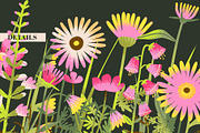 MEADOW FLOWERS: clipart & borders, a Seasonal Illustration by Elliko shop (Thumbnail 5 of 8)