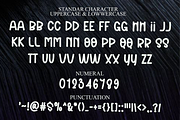 Stylish Winter, a Script Font by FreshTypeINK (Thumbnail 6 of 8)