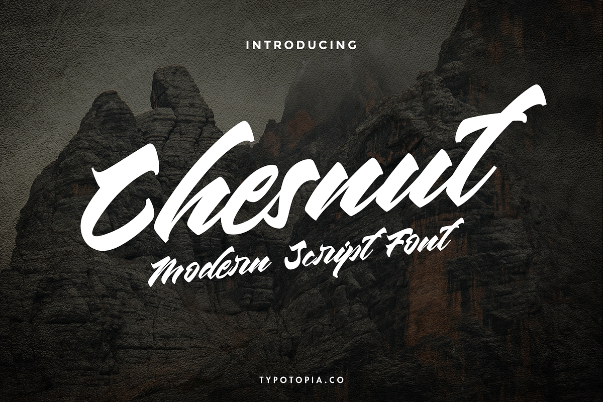 Chesnut Modern Script Font, a Script Font by edukka (Photo 1 of 10)