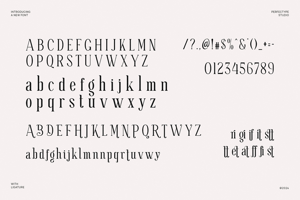 Cristtan Elegant Serif Font Typeface, a Serif Font by Perfectype (Photo 5 of 6)