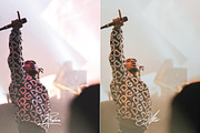 Concert presets for Lightroom, a Preset Add-On by RV / Presets | AI Images (Thumbnail 6 of 6)