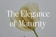 Astrel Madesly - Artistic Serif Font, a Serif Font by Variatype (Thumbnail 4 of 10)
