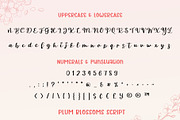 Plum Blossoms Font Duo, a Script Font by AnningArts (Thumbnail 7 of 8)