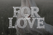 Lace Sans - Elegant Wedding Font, a Symbol Font by AndrewPixelType (Thumbnail 5 of 8)