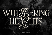TAN - FIFTH AVENUE, a Serif Font by TanType (Thumbnail 5 of 11)