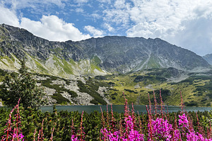 Scenic mountain lake with pink flowers in Zakopane Poland under a blue sky, a Nature Photo by AS photostudio